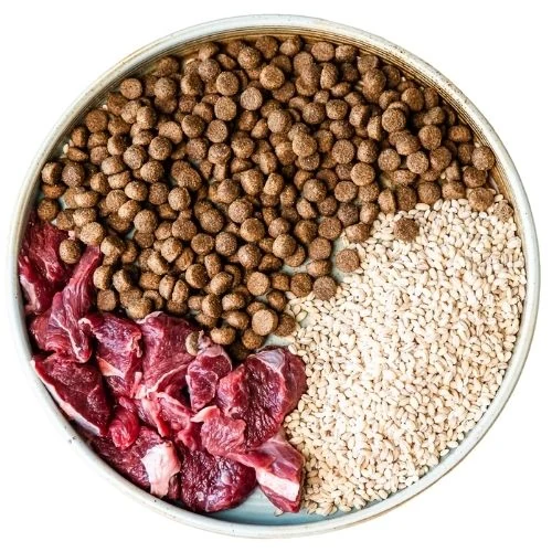 pl 2025 09 JM dog food