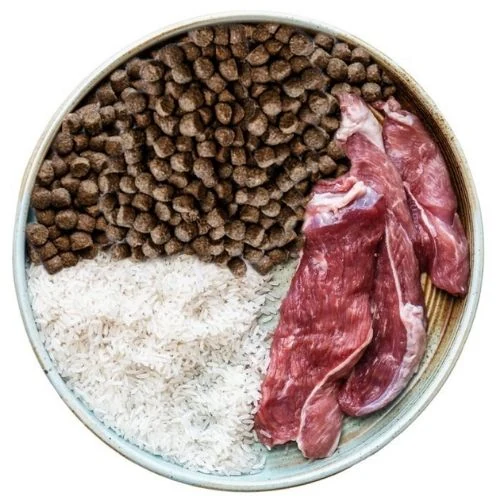 pl 2025 09 OB dog food