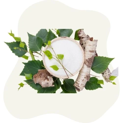 pl 2025 09 birch leaf