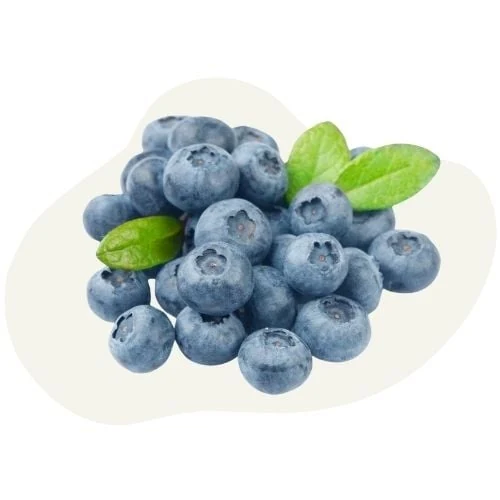 pl 2025 09 black cranberry
