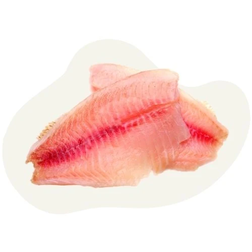 pl 2025 09 catfish