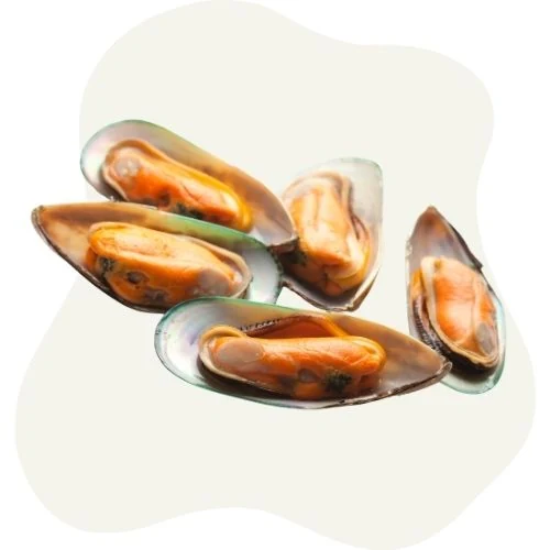 pl 2025 09 green lipped mussel