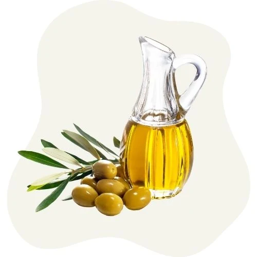 pl 2025 09 olive oil