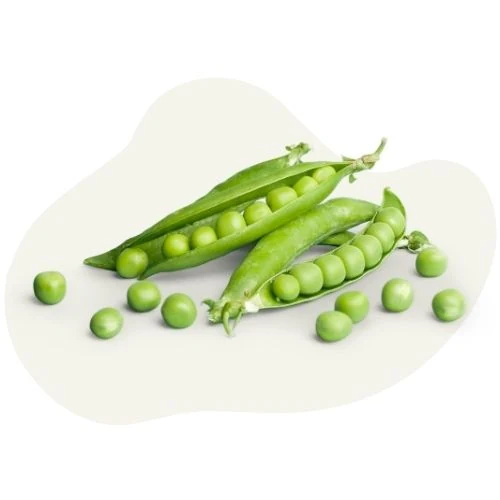 pl 2025 09 peas