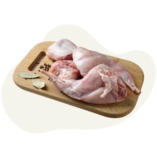pl 2025 09 rabbit 1