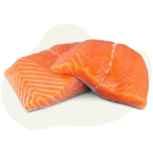 pl 2025 09 salmon 1