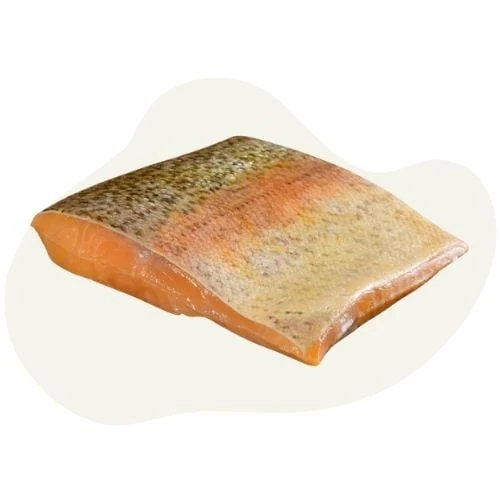 pl 2025 09 trout
