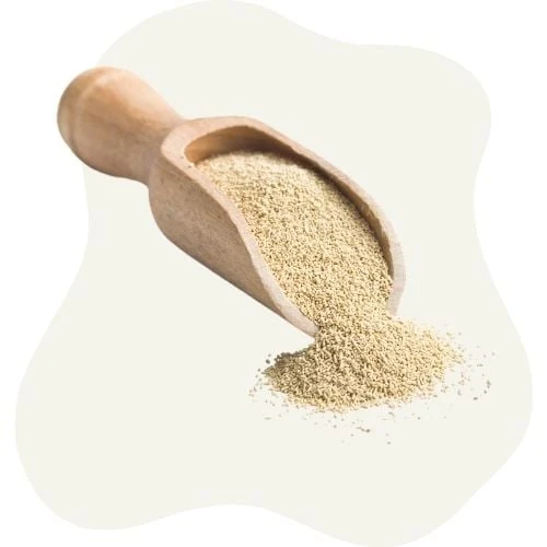 pl 2025 09 yeast