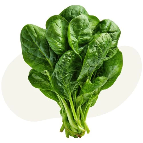 pl 2026 05 spinach