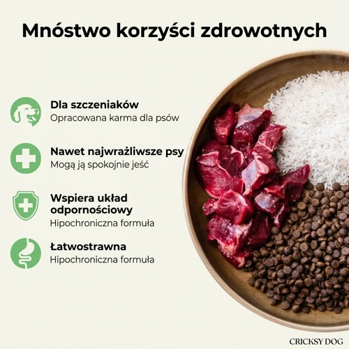 Hipoalergiczna sucha karma dla szczeniąt Chucky z wołowiną 3 Hipoalergiczna sucha karma dla szczeniąt Chucky z wołowiną - obrazek 3