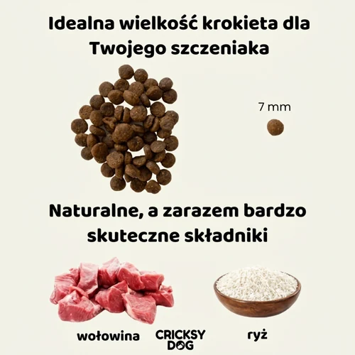 Hipoalergiczna sucha karma dla szczeniąt Chucky z wołowiną 2 Hipoalergiczna sucha karma dla szczeniąt Chucky z wołowiną - obrazek 2