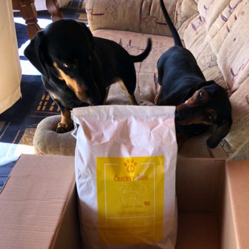 pl customer review 04