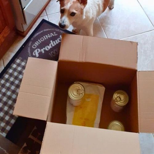pl customer review 07