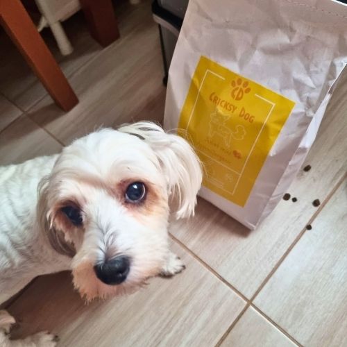 pl customer review 08