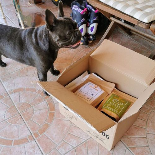 pl customer review 09