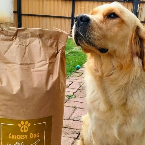 pl customer review 10