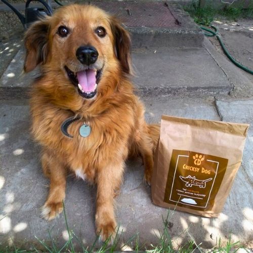 pl customer review 11