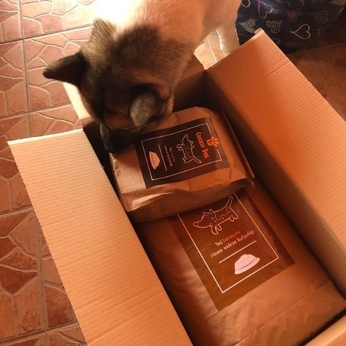 pl customer review 13