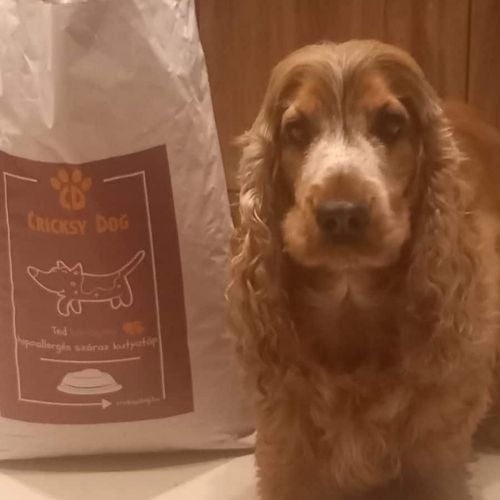 pl customer review 20