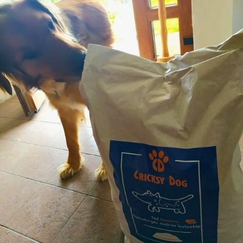 pl customer review 23