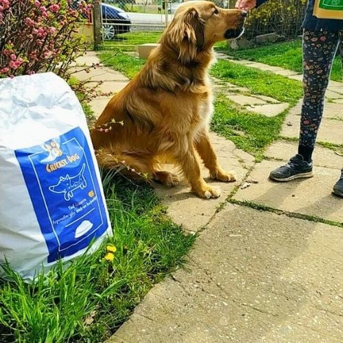 pl customer review 24