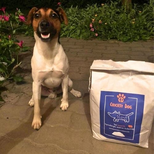 pl customer review 25