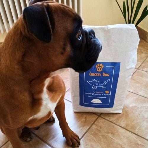 pl customer review 26
