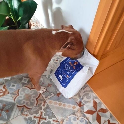 pl customer review 27