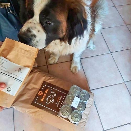 pl customer review 36