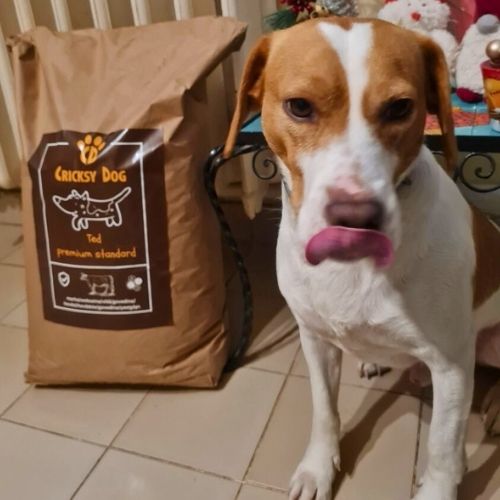 pl customer review 39